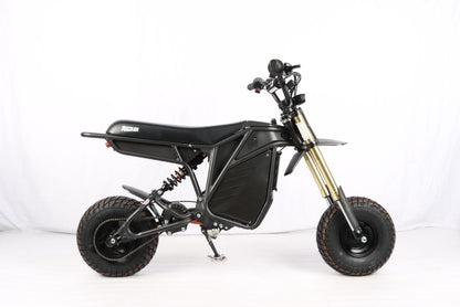 Electro & Co Rizzler Sport