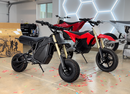 Electro & Co Rizzler Sport